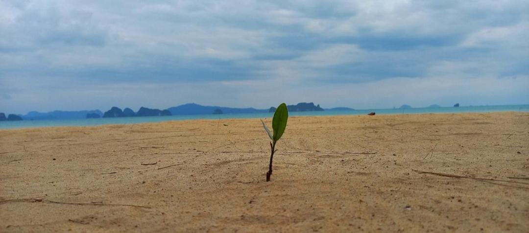 Koh Yao Noi Beach Resort Exterior foto